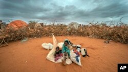 صومالیہ کی بے گھر ہونے والی ایک خاتون اپنے بچے کے ساتھ پناہ کے لیے خیمہ دیے جانے کا انتظار کر رہی ہے۔ خشک سالی کے باعث صومالیہ میں43 ہزار سے زیادہ افراد ہلاک ہو چکے ہیں۔ 20 ستمبر 2022 فو ٹو اے پی