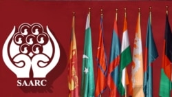 پاکستان اور بھارت سارک ممالک کی تنظیم کے رکن بھی ہیں۔